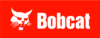 Bobcat